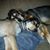Sherrie Magee's profile image