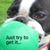 Kyle Anne Burton's profile image