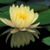 Maxine Stewart's profile image