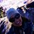 Erin Kristina's profile image