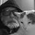 Tim Paxton's profile image