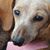 Holly Chamberlain's profile image