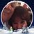 Suzanne Danicki Polen's profile image