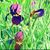 Peggy Walman's profile image