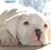 Jack Chin's profile image