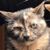 Nuria C. Rodriguez's profile image