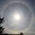 Lisa Graser's profile image