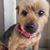 Kathy Vaughan Roberson's profile image