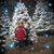 Holly Shipman's profile image