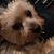 Veronica Quirante Farinas's profile image