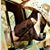 Debbie Welch's profile image