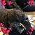 Renee Spencer's profile image