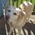 Timon Parsels's profile image