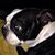 Deena Rhodes McCorkle's profile image