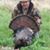 Kenny Hoggatt's profile image