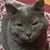 Juanita Abbey Arnold's profile image