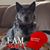 Phyllis Pendill Joseph's profile image