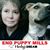 Gini LueLue Weaver's profile image