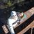 Elizabeth Berendt's profile image