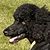 Tammie Key's profile image