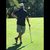 Tracy Sears's profile image