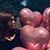 Katie Pollard's profile image