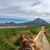 Bríd Ní HIcí's profile image
