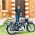 Aashish Soni's profile image