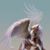 David Lackie's profile image
