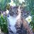 Esther Knapicius's profile image