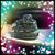 Adrienne Brooks's profile image