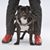 Harold Gordon's profile image