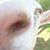 Jenny King's profile image