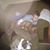 Cathy Legrand's profile image
