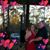 Michele Nelson's profile image
