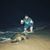 Carlos Caribbean Cool's profile image