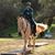 Patti Conde Patterson's profile image