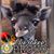 Judy Thomas Gesaman's profile image