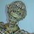 Roger Fernandez Jr.'s profile image