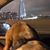 Cyndi Johnson's profile image