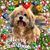 Pat Bright's profile image