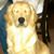 Sharon Sisemore McLaughlin's profile image