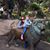 Christi Anderson's profile image