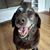 Mary Jo Monteith Libby's profile image