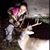 Brandi Lynne Winfield's profile image