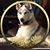 Dawn Rose's profile image
