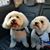 Debbie Wright's profile image