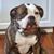 George F Matheis Jr's profile image