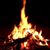 Rob Dishaw's profile image
