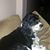 Susan Hutton-Ewans's profile image